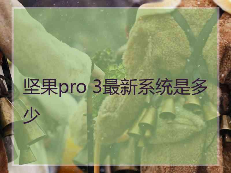 坚果pro 3最新系统是多少