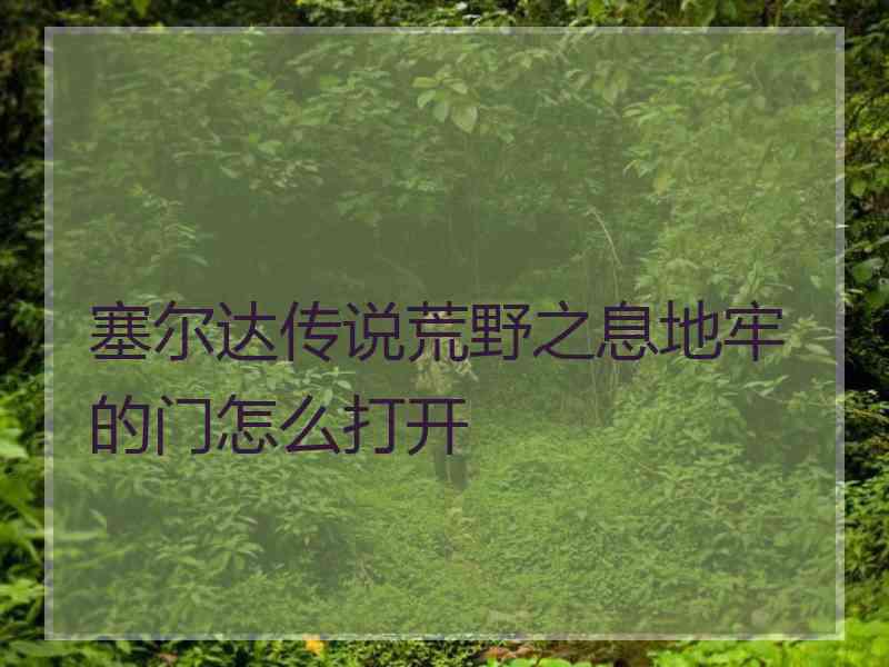 塞尔达传说荒野之息地牢的门怎么打开