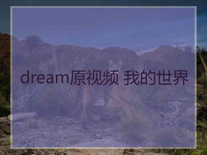 dream原视频 我的世界