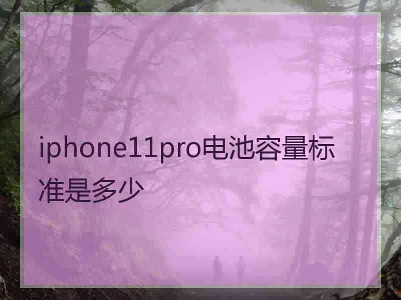 iphone11pro电池容量标准是多少