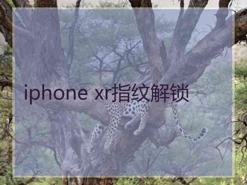 iphone xr指纹解锁