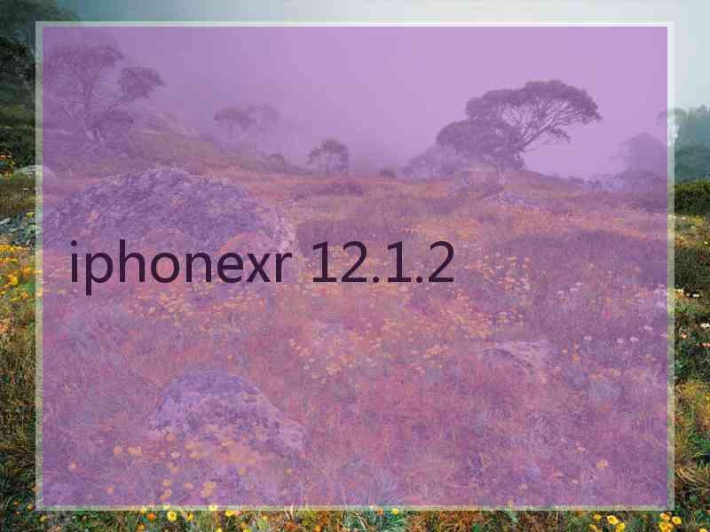 iphonexr 12.1.2