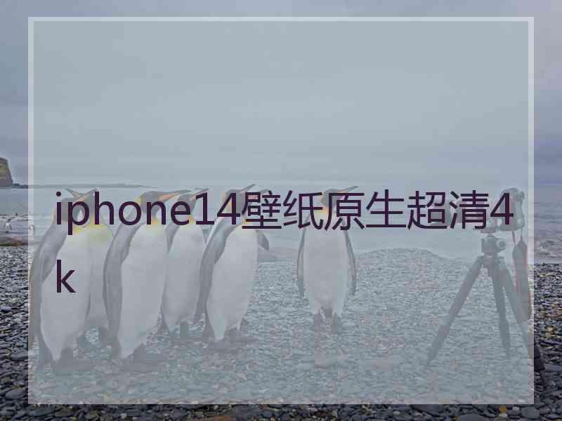 iphone14壁纸原生超清4k