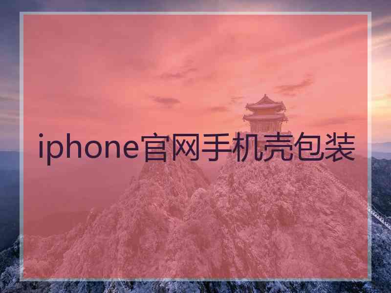 iphone官网手机壳包装