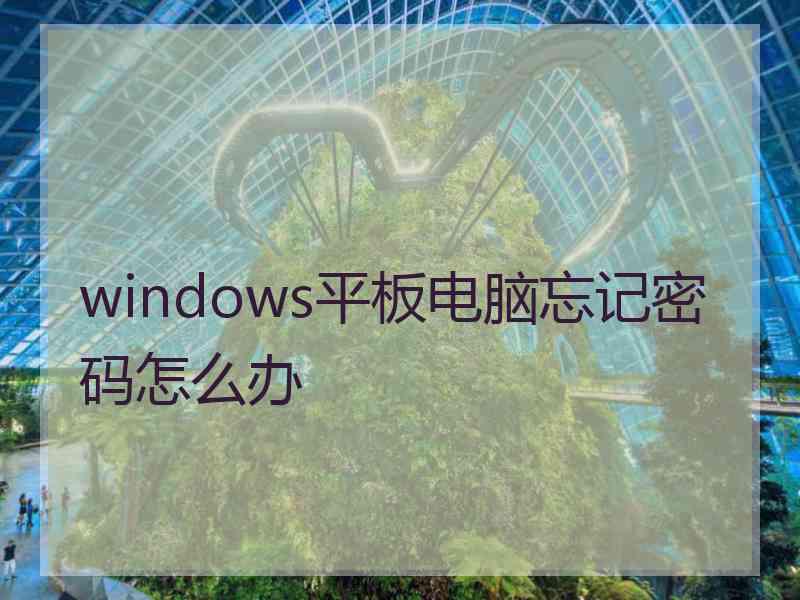 windows平板电脑忘记密码怎么办