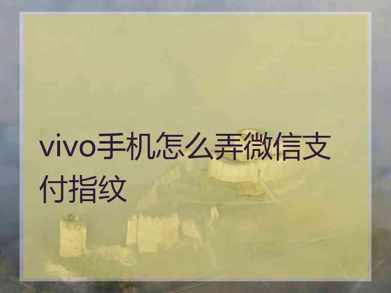 vivo手机怎么弄微信支付指纹