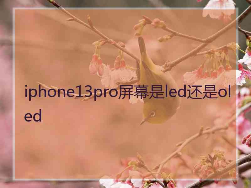 iphone13pro屏幕是led还是oled