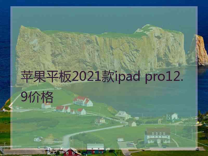 苹果平板2021款ipad pro12.9价格