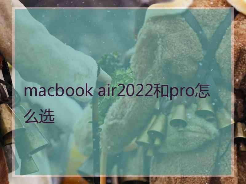 macbook air2022和pro怎么选