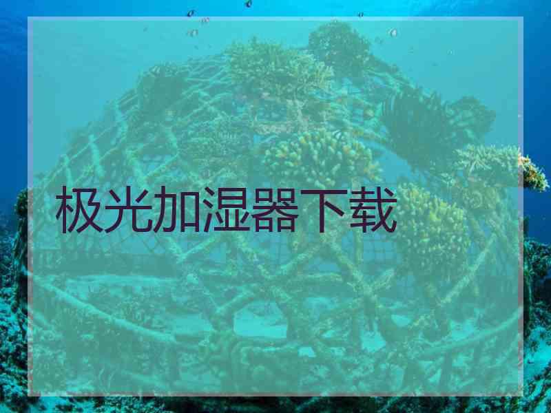 极光加湿器下载