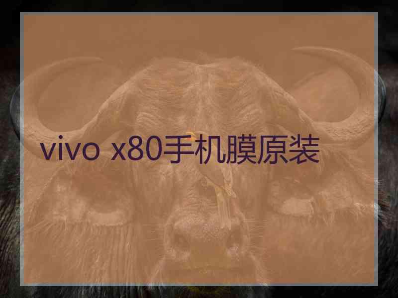 vivo x80手机膜原装