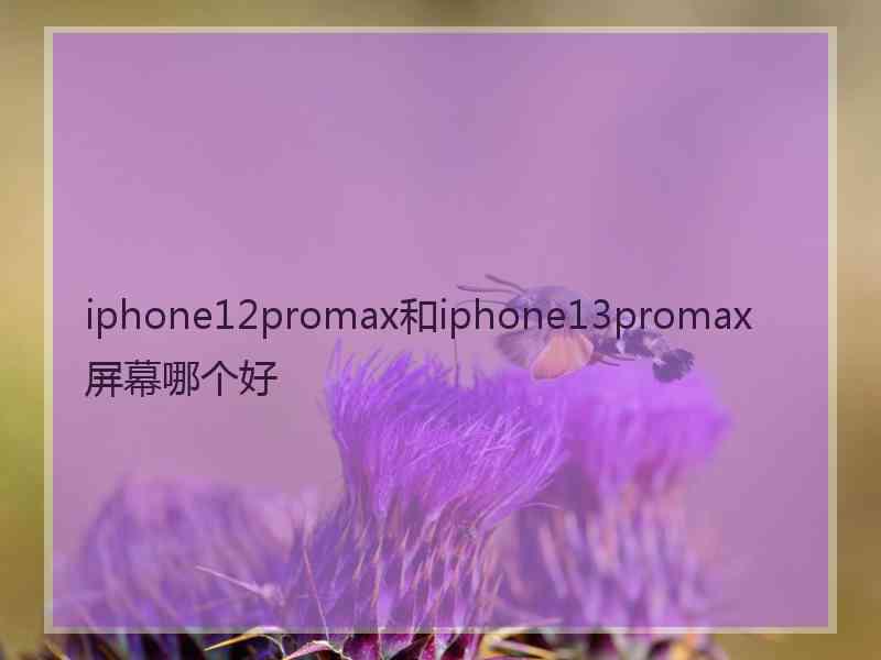 iphone12promax和iphone13promax屏幕哪个好