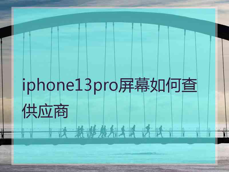 iphone13pro屏幕如何查供应商