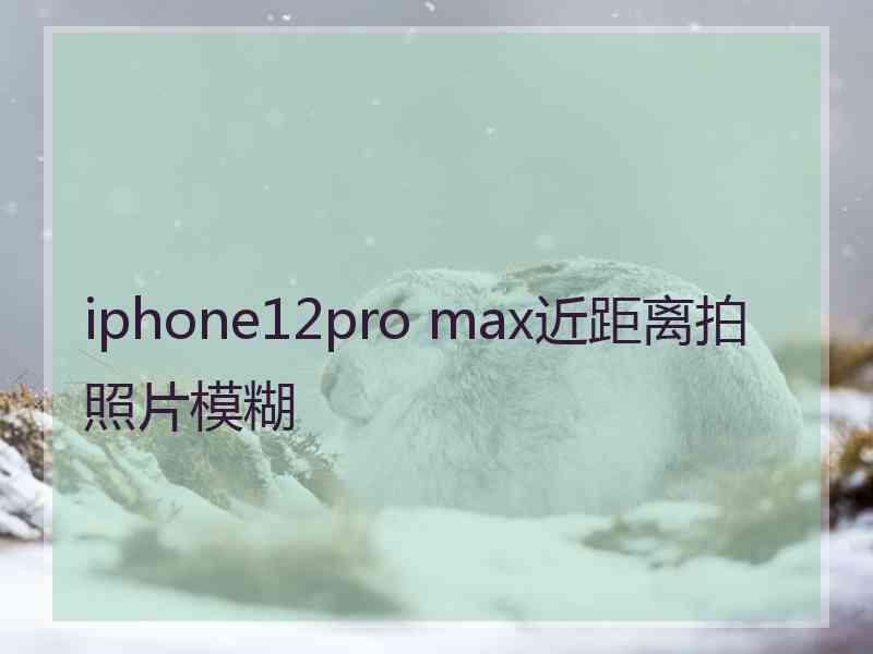 iphone12pro max近距离拍照片模糊