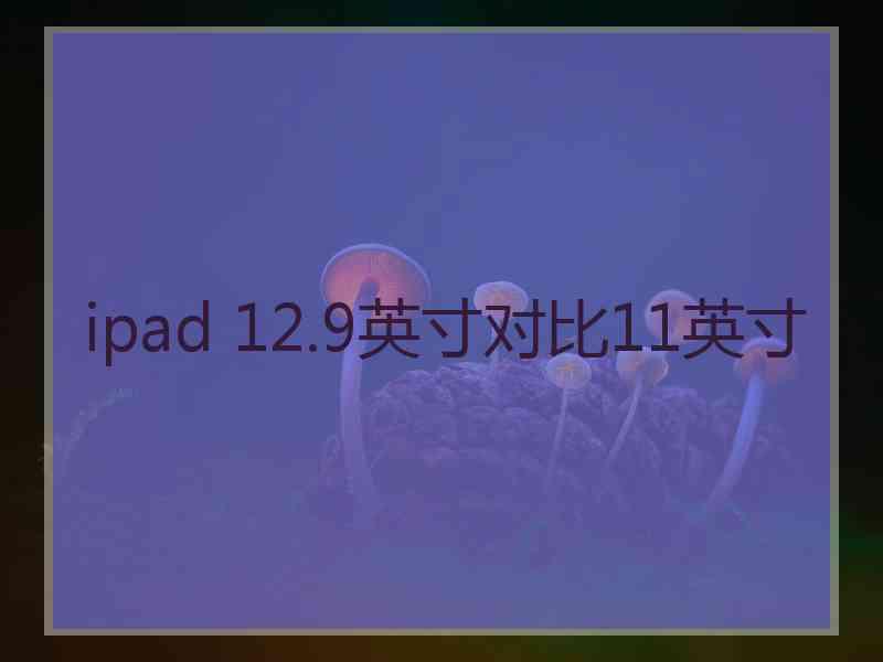 ipad 12.9英寸对比11英寸