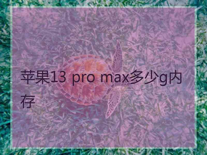 苹果13 pro max多少g内存