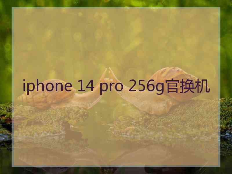 iphone 14 pro 256g官换机