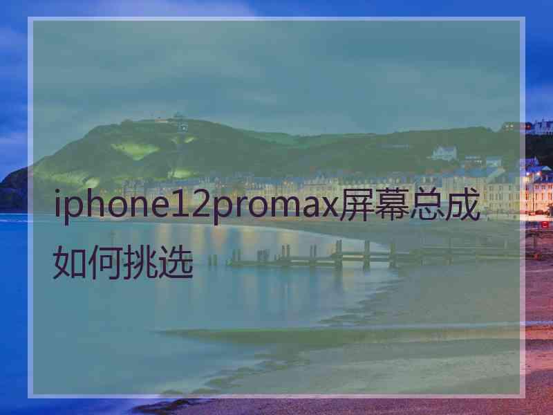 iphone12promax屏幕总成如何挑选