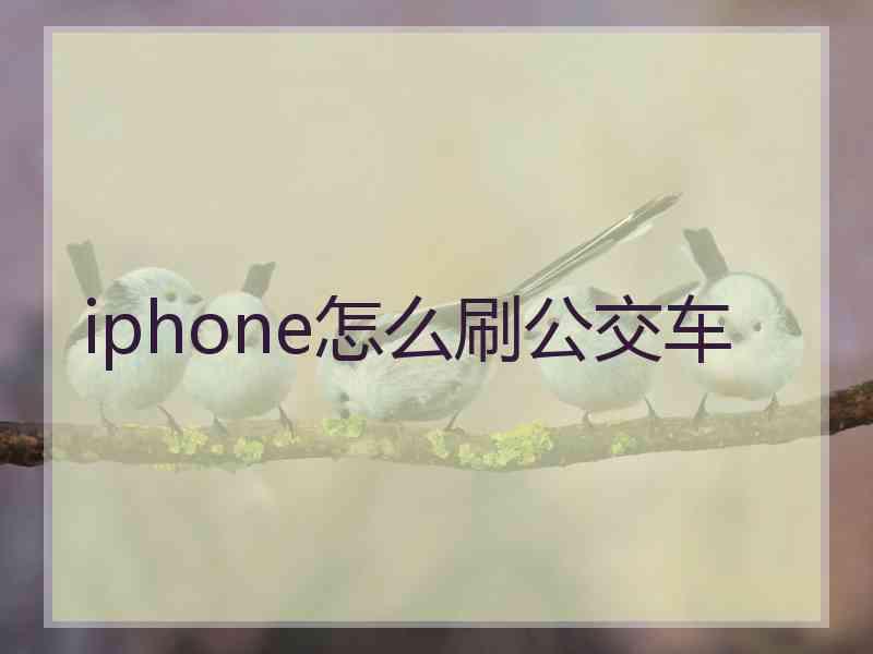 iphone怎么刷公交车