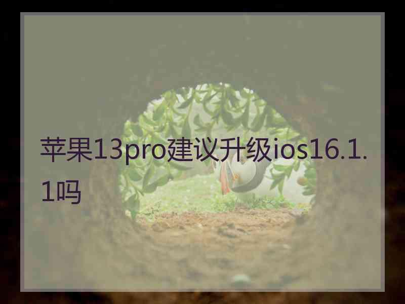 苹果13pro建议升级ios16.1.1吗