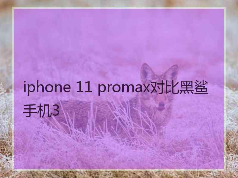 iphone 11 promax对比黑鲨手机3