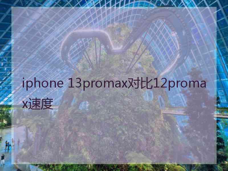 iphone 13promax对比12promax速度