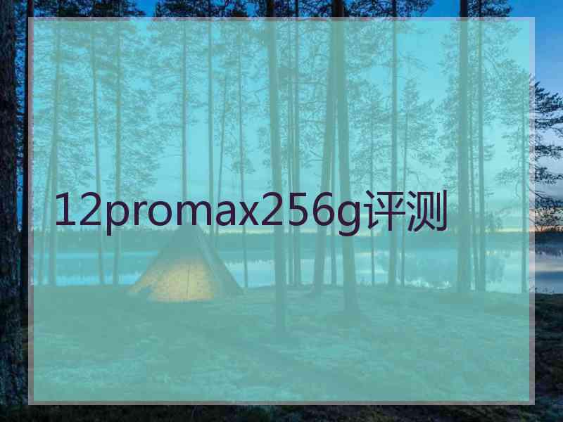 12promax256g评测