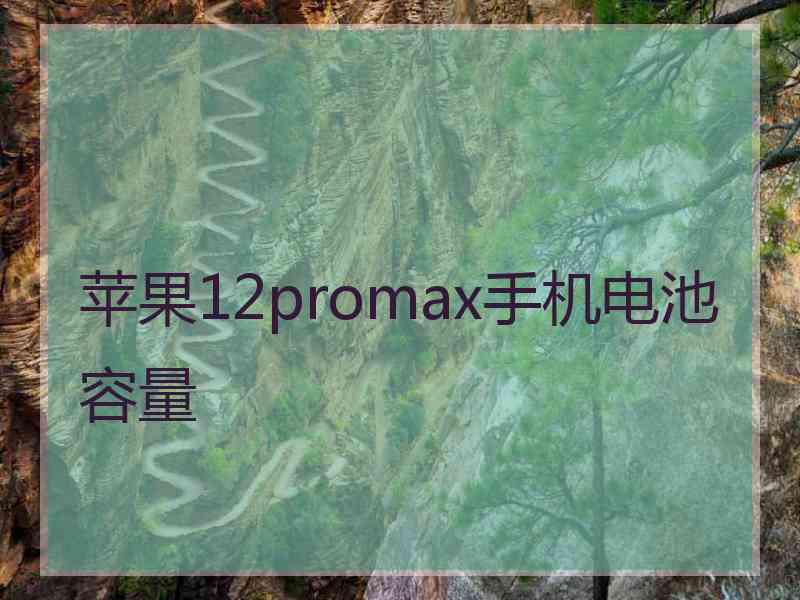 苹果12promax手机电池容量