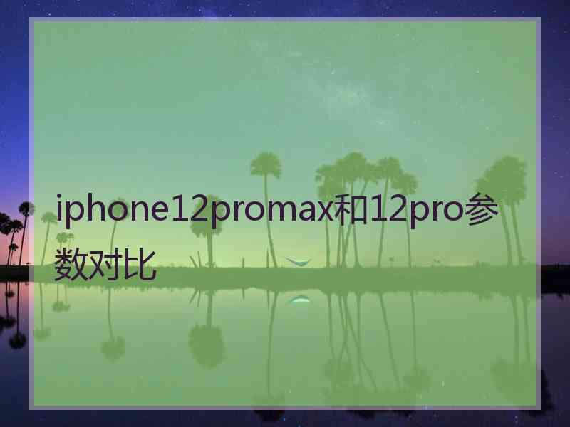 iphone12promax和12pro参数对比