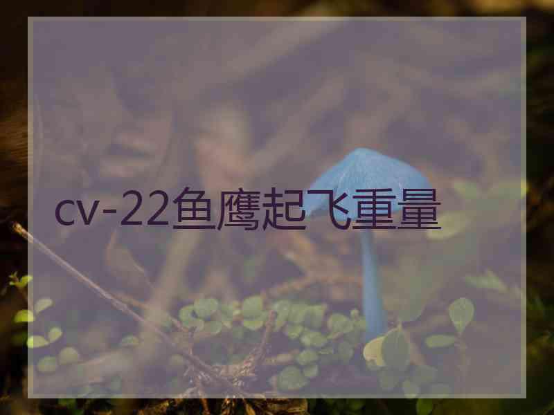 cv-22鱼鹰起飞重量