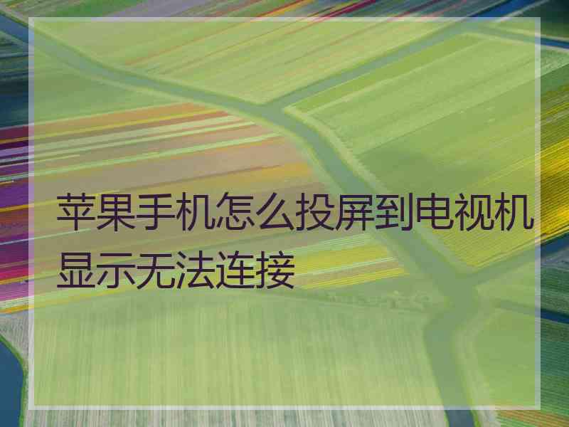 苹果手机怎么投屏到电视机显示无法连接