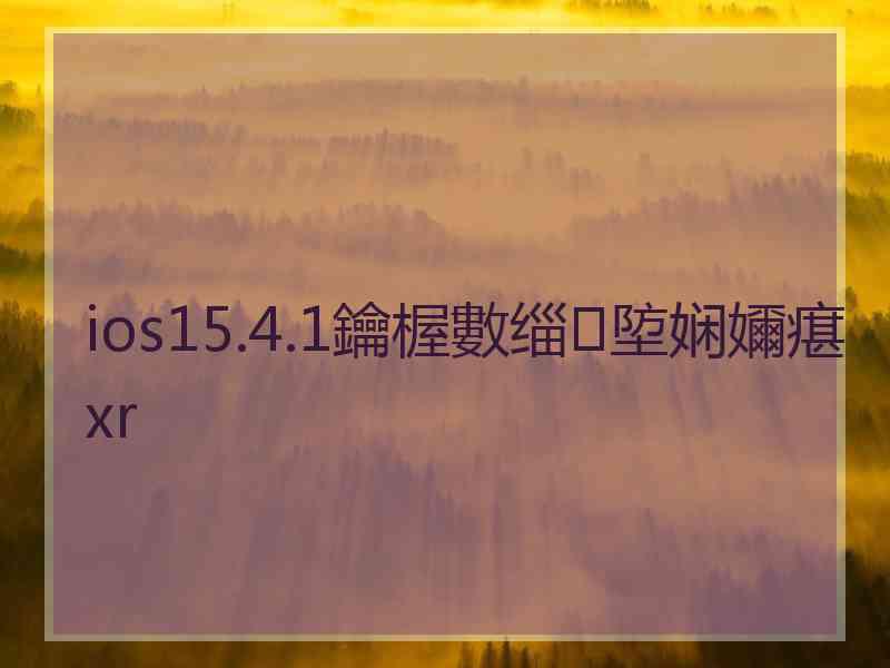 ios15.4.1鑰楃數缁埅娴嬭瘎xr