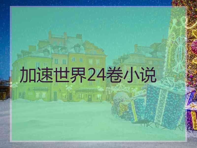 加速世界24卷小说