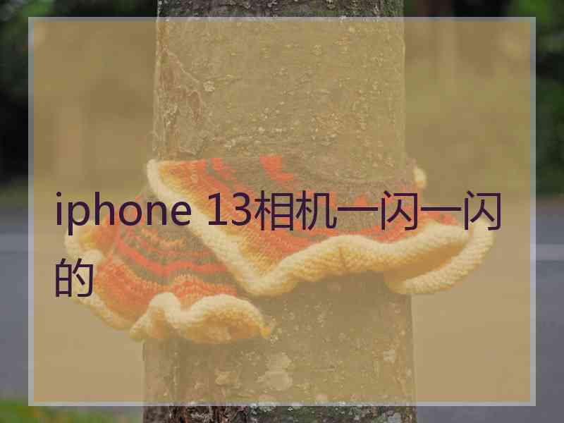 iphone 13相机一闪一闪的