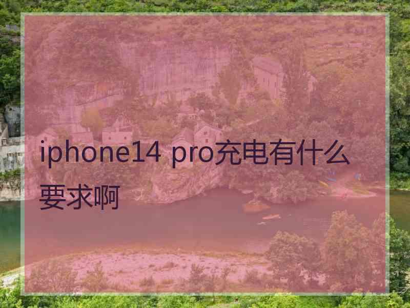 iphone14 pro充电有什么要求啊