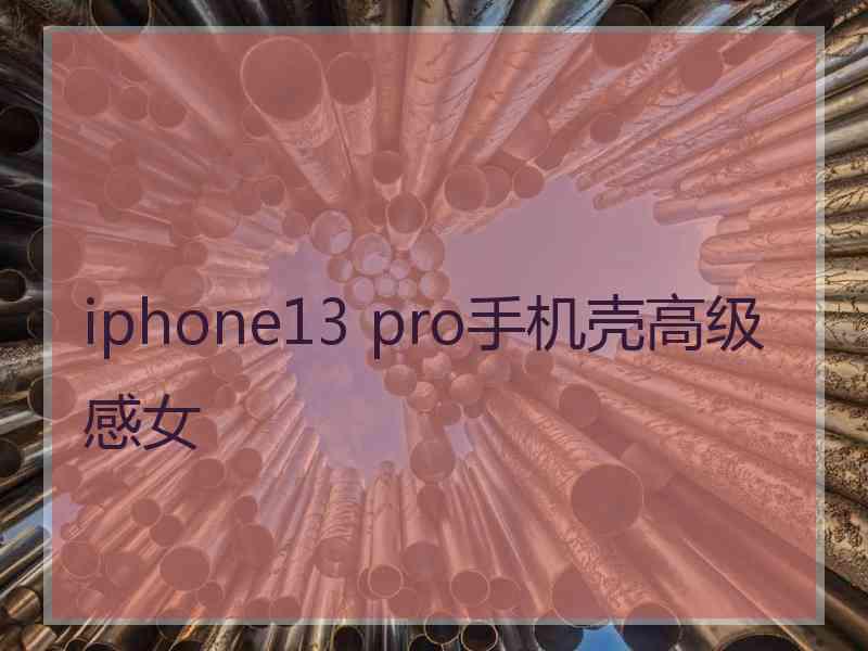 iphone13 pro手机壳高级感女