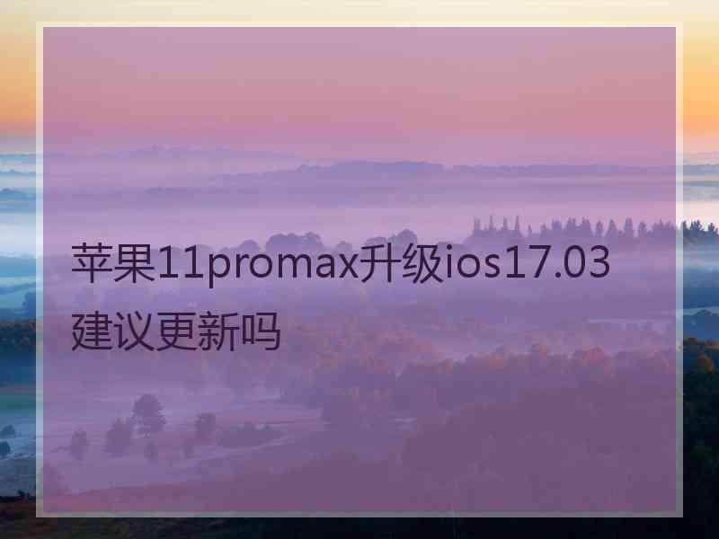 苹果11promax升级ios17.03建议更新吗