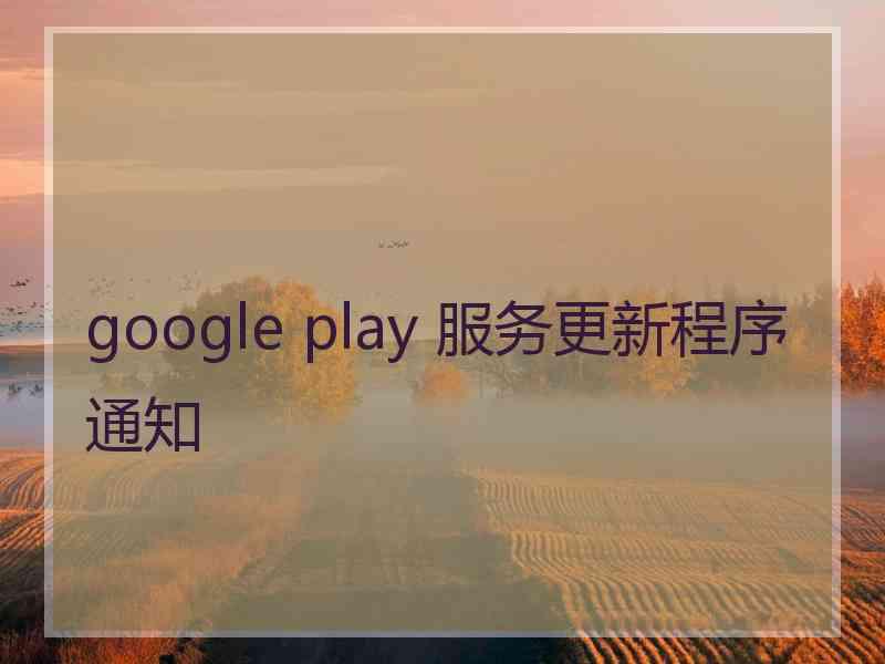 google play 服务更新程序通知