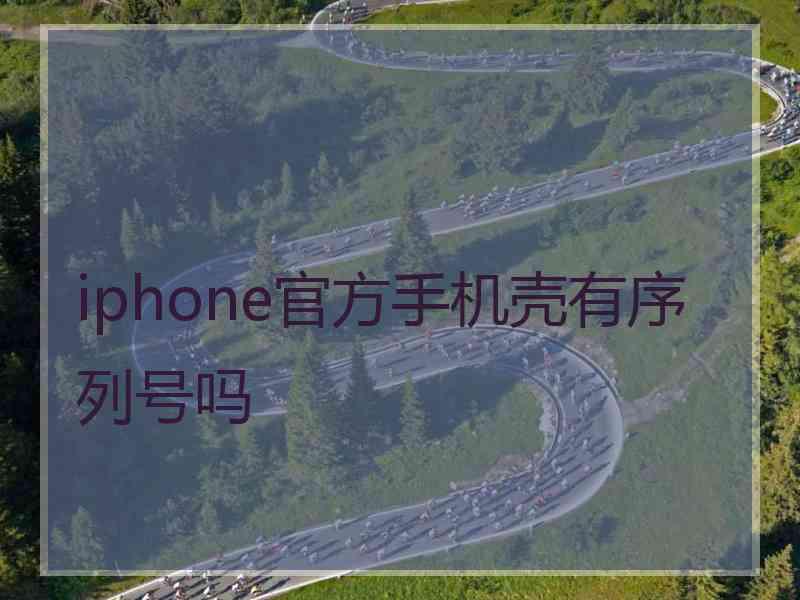 iphone官方手机壳有序列号吗