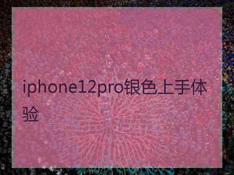 iphone12pro银色上手体验