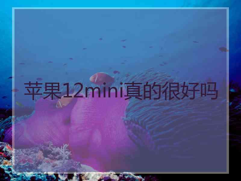 苹果12mini真的很好吗