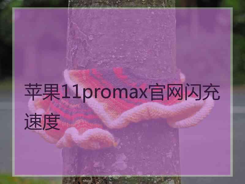 苹果11promax官网闪充速度