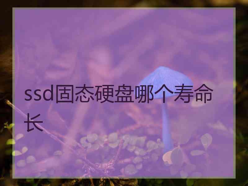 ssd固态硬盘哪个寿命长