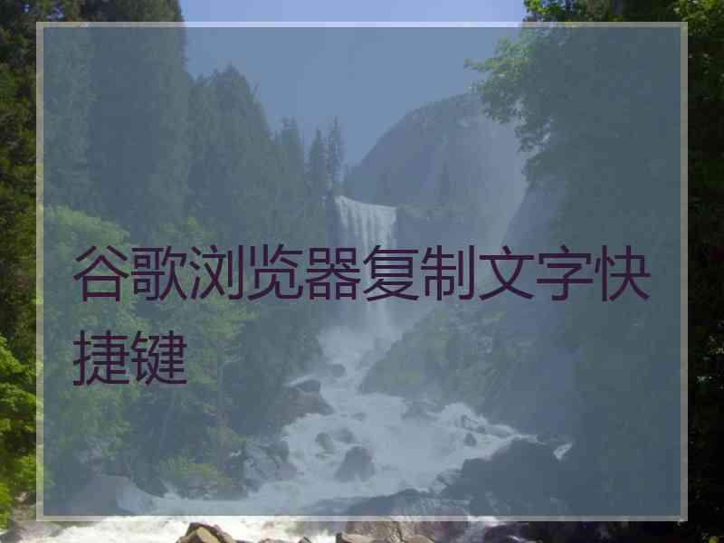 谷歌浏览器复制文字快捷键