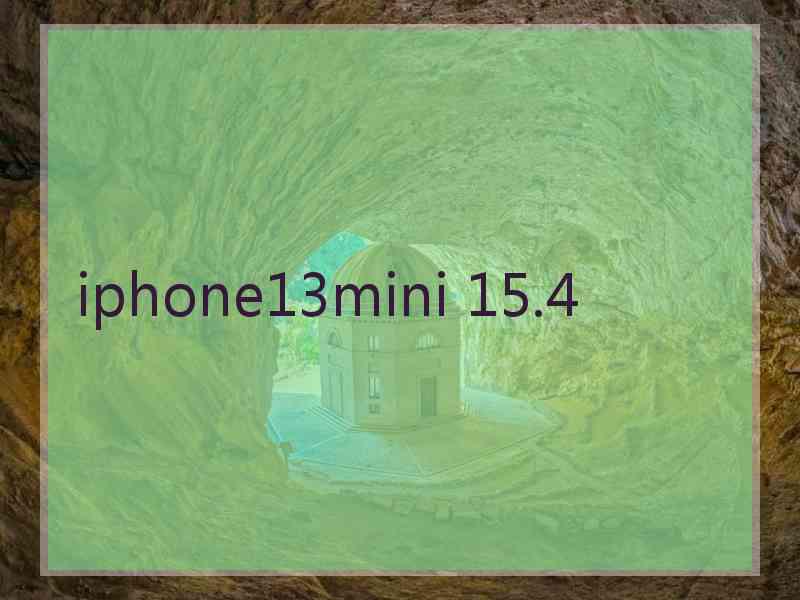 iphone13mini 15.4