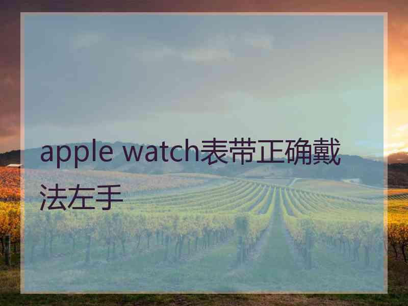 apple watch表带正确戴法左手