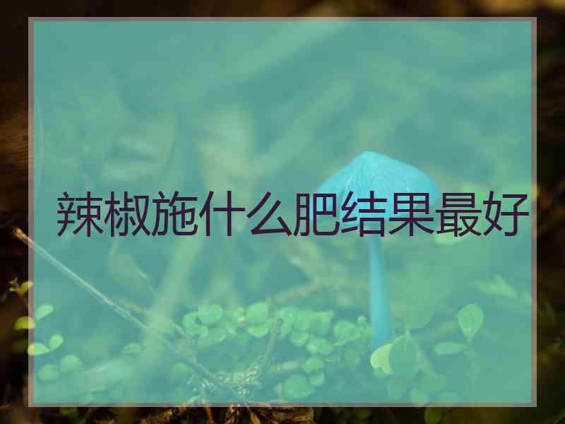 辣椒施什么肥结果最好