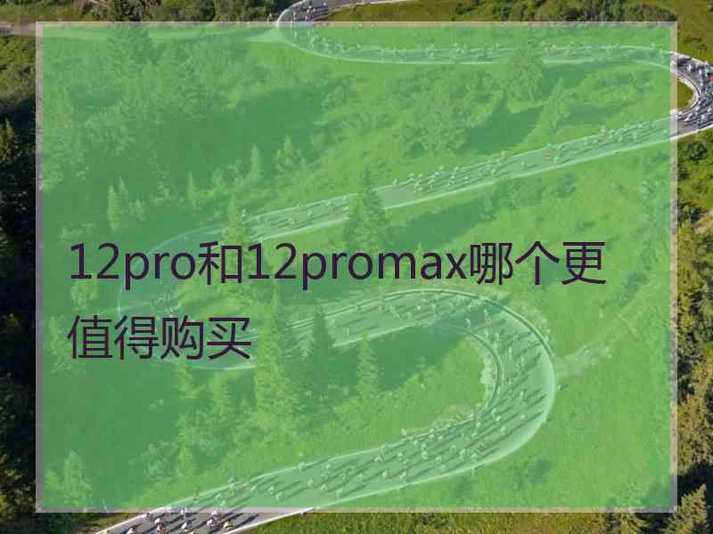 12pro和12promax哪个更值得购买