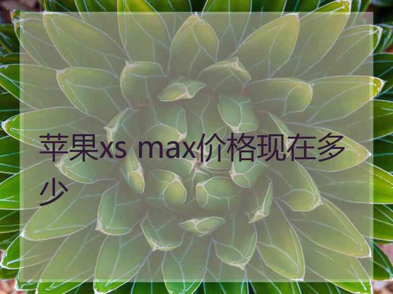 苹果xs max价格现在多少