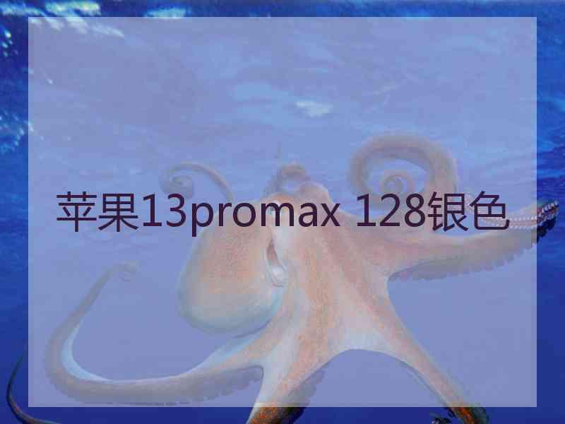 苹果13promax 128银色